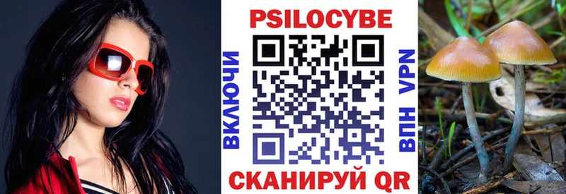 KRAKEN как войти  Шимановск  Псилоцибиновые грибы Cubensis 